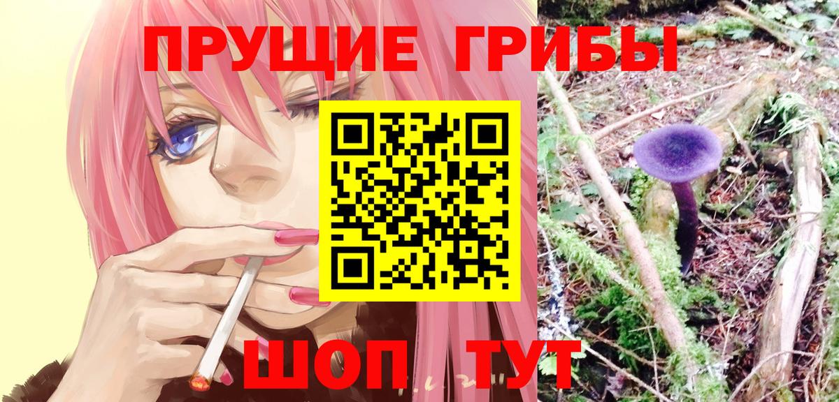 Галлюциногенные грибы GOLDEN TEACHER Дмитров